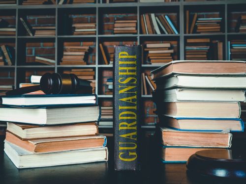 Understanding the Guardianship Litigation Process.